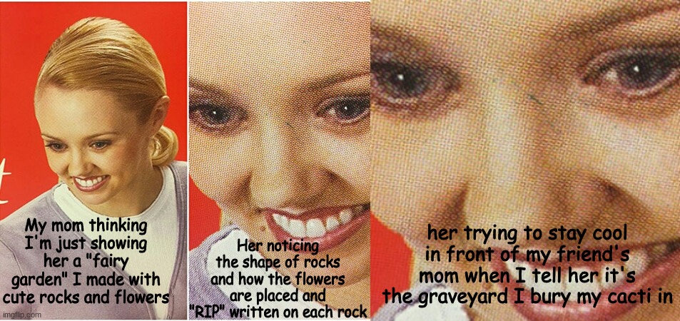 Her noticing the shape of rocks and how the flowers are placed and "RIP" written on each rock; My mom thinking I'm just showing her a "fairy garden" I made with cute rocks and flowers; her trying to stay cool in front of my friend's mom when I tell her it's the graveyard I bury my cacti in | image tagged in the what woman | made w/ Imgflip meme maker