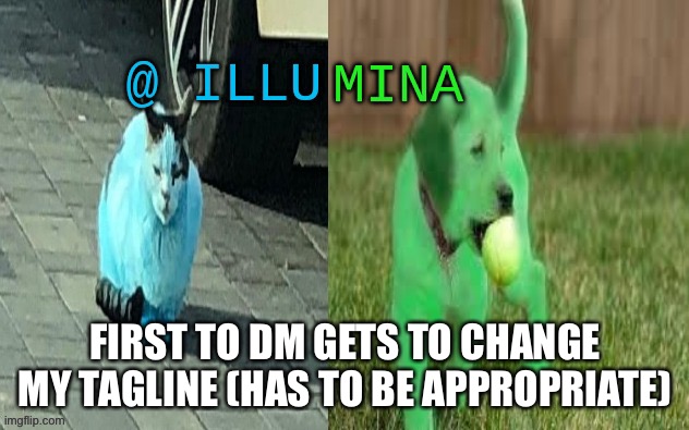 illumina new temp | FIRST TO DM GETS TO CHANGE MY TAGLINE (HAS TO BE APPROPRIATE) | image tagged in illumina new temp | made w/ Imgflip meme maker