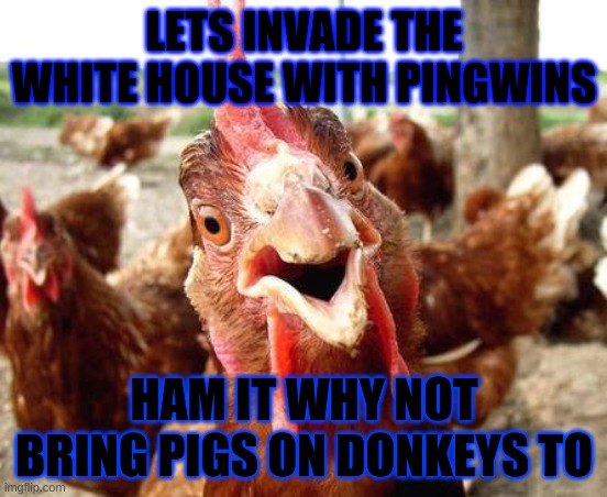 Chicken | LETS INVADE THE WHITE HOUSE WITH PINGWINS; HAM IT WHY NOT BRING PIGS ON DONKEYS TO | image tagged in chicken | made w/ Imgflip meme maker