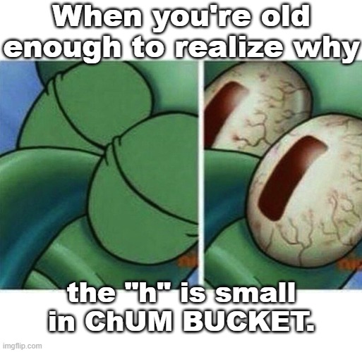 Wait, what? | When you're old enough to realize why; the "h" is small
in ChUM BUCKET. | image tagged in squidward,chum bucket,innuendo,hidden in plain site | made w/ Imgflip meme maker