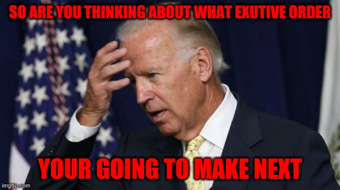 Joe Biden worries | SO ARE YOU THINKING ABOUT WHAT EXUTIVE ORDER; YOUR GOING TO MAKE NEXT | image tagged in joe biden worries | made w/ Imgflip meme maker