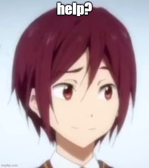 help? | help? | image tagged in memes | made w/ Imgflip meme maker