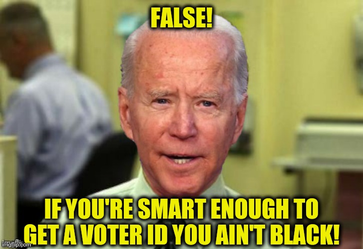 FALSE! IF YOU'RE SMART ENOUGH TO GET A VOTER ID YOU AIN'T BLACK! | made w/ Imgflip meme maker