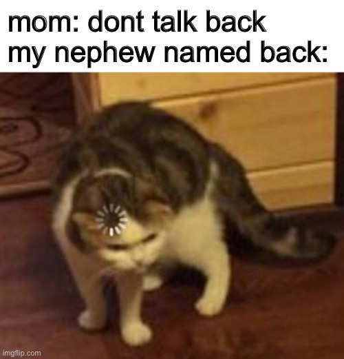 pov: you are the nephew | mom: dont talk back
my nephew named back: | image tagged in loading cat,karen | made w/ Imgflip meme maker