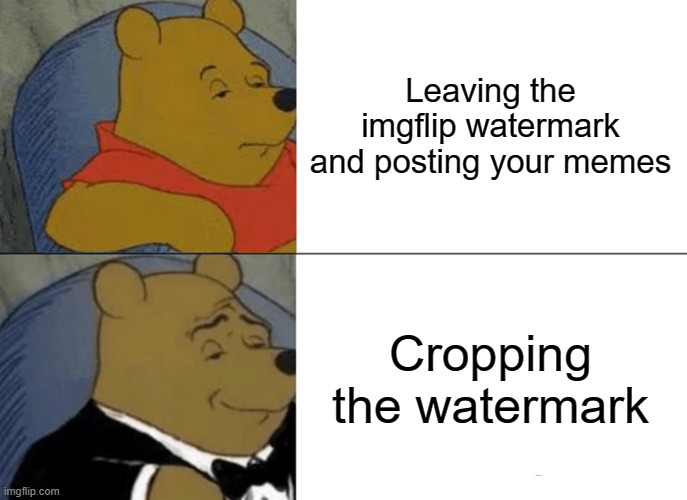 Not Cropping vs Cropping | Leaving the imgflip watermark and posting your memes; Cropping the watermark | image tagged in memes,tuxedo winnie the pooh | made w/ Imgflip meme maker