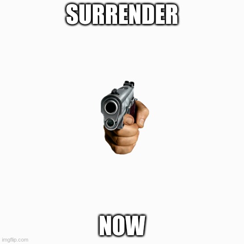 America be like | SURRENDER; NOW | image tagged in america,guns,funny meme | made w/ Imgflip meme maker