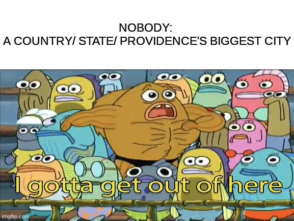 NOBODY: 
A COUNTRY/ STATE/ PROVIDENCE'S BIGGEST CITY | image tagged in memes | made w/ Imgflip meme maker