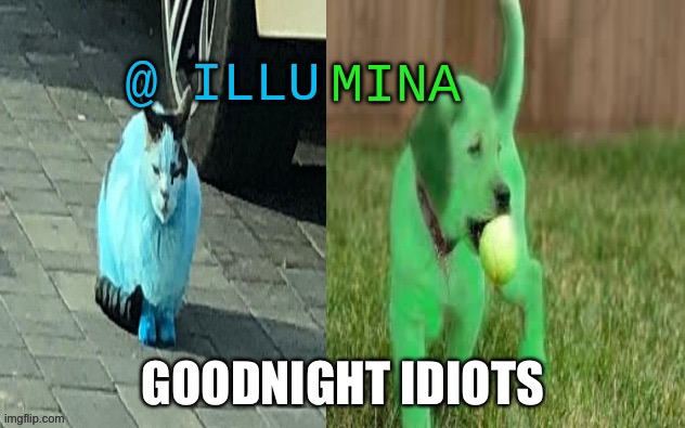illumina new temp | GOODNIGHT IDIOTS | image tagged in illumina new temp | made w/ Imgflip meme maker