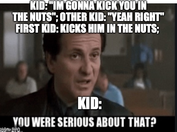 this happened in second grade | KID: "IM GONNA KICK YOU IN THE NUTS"; OTHER KID: "YEAH RIGHT" FIRST KID: KICKS HIM IN THE NUTS;; KID: | image tagged in joe pesci | made w/ Imgflip meme maker