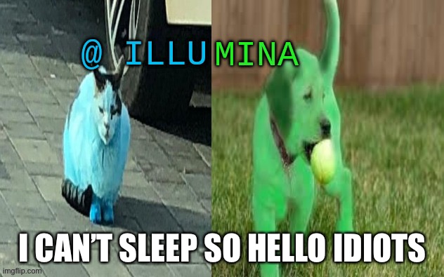 illumina new temp | I CAN’T SLEEP SO HELLO IDIOTS | image tagged in illumina new temp | made w/ Imgflip meme maker