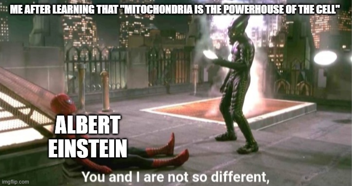 Smort |  ME AFTER LEARNING THAT "MITOCHONDRIA IS THE POWERHOUSE OF THE CELL"; ALBERT EINSTEIN | image tagged in you and i are not so diffrent | made w/ Imgflip meme maker