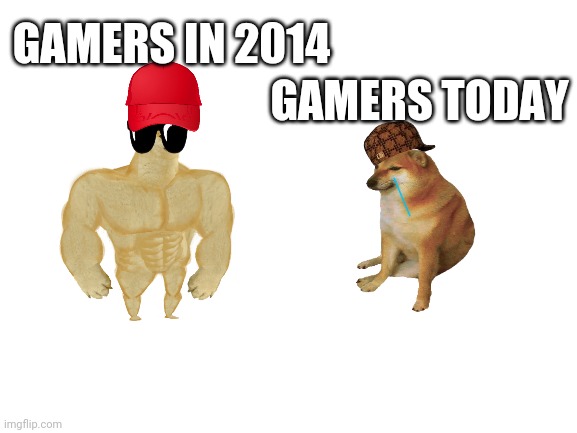 Blank White Template | GAMERS TODAY; GAMERS IN 2014 | image tagged in blank white template,buff doge vs cheems | made w/ Imgflip meme maker