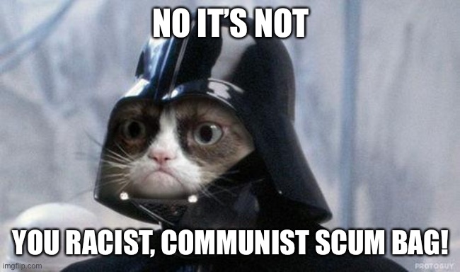 Grumpy Cat Star Wars Meme | NO IT’S NOT YOU RACIST, COMMUNIST SCUM BAG! | image tagged in memes,grumpy cat star wars,grumpy cat | made w/ Imgflip meme maker