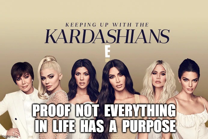 Proof | PROOF  NOT  EVERYTHING  IN  LIFE  HAS  A  PURPOSE | image tagged in reality tv | made w/ Imgflip meme maker