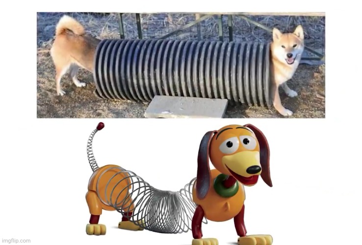 seems familiar | image tagged in toy story,dogs | made w/ Imgflip meme maker