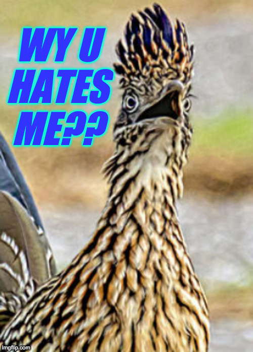 WY U
HATES
ME?? | made w/ Imgflip meme maker