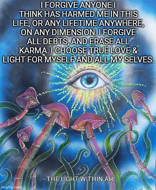 I FORGIVE ANYONE I THINK HAS HARMED ME IN THIS LIFE, OR ANY LIFETIME ANYWHERE, ON ANY DIMENSION. I FORGIVE ALL DEBTS, AND ERASE ALL KARMA. I CHOOSE TRUE LOVE & LIGHT FOR MYSELF AND ALL MY SELVES. - THE LIGHT WITHIN ALL | made w/ Imgflip meme maker