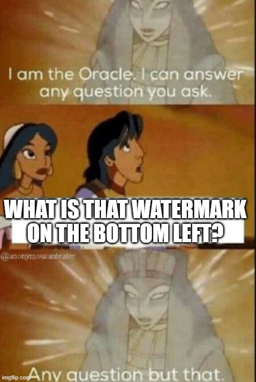 The only real question in life | WHAT IS THAT WATERMARK ON THE BOTTOM LEFT? | image tagged in the oracle | made w/ Imgflip meme maker