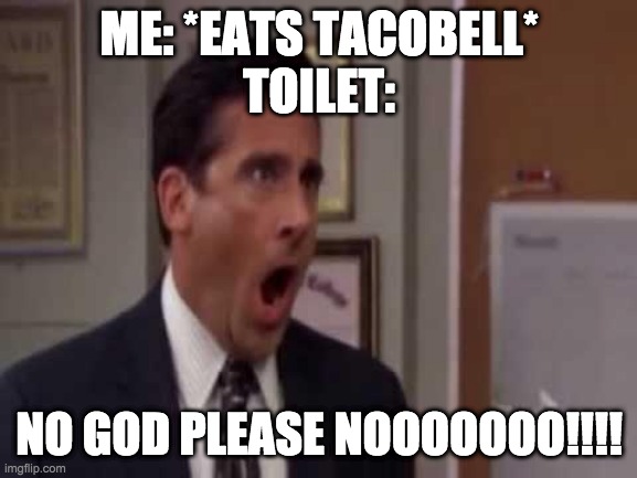 the toilet be like xDDDDDDD |  ME: *EATS TACOBELL*
TOILET:; NO GOD PLEASE NOOOOOOO!!!! | image tagged in no god no god please no | made w/ Imgflip meme maker