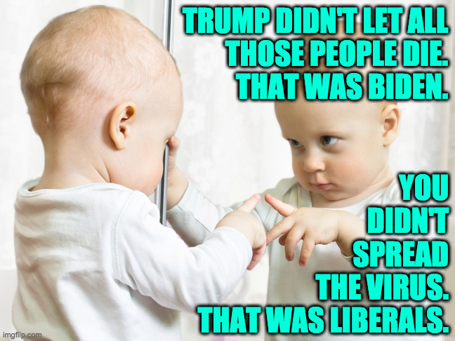 Life coach. | TRUMP DIDN'T LET ALL
THOSE PEOPLE DIE.
THAT WAS BIDEN. YOU
DIDN'T
SPREAD
THE VIRUS.
THAT WAS LIBERALS. | image tagged in baby mirror,memes,editing,life coach,conservatives,self esteem | made w/ Imgflip meme maker