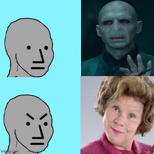 Figuratively and literally | image tagged in lord voldemort,harry potter meme,eyebrows | made w/ Imgflip meme maker