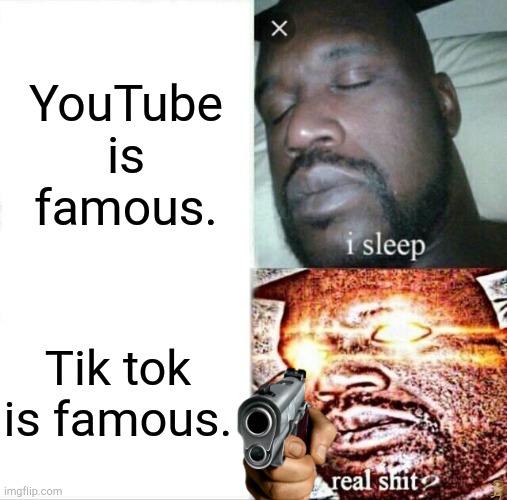 Sleeping Shaq | YouTube is famous. Tik tok is famous. | image tagged in memes,sleeping shaq | made w/ Imgflip meme maker