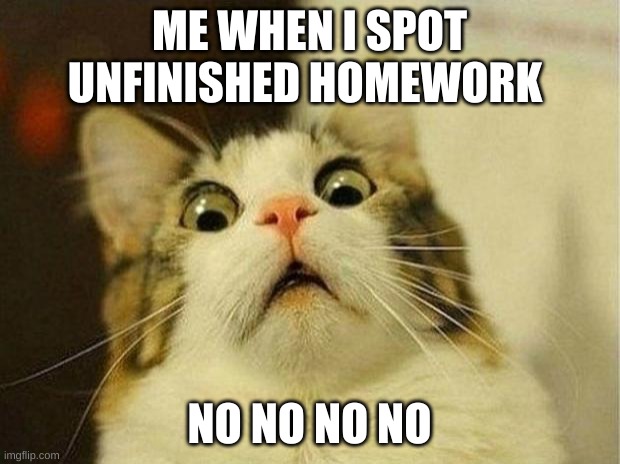 Scared Cat | ME WHEN I SPOT UNFINISHED HOMEWORK; NO NO NO NO | image tagged in memes,scared cat | made w/ Imgflip meme maker