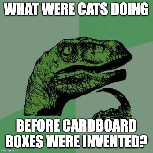 What did cats do? |  WHAT WERE CATS DOING; BEFORE CARDBOARD BOXES WERE INVENTED? | image tagged in memes,philosoraptor,cats,cardboard,box | made w/ Imgflip meme maker
