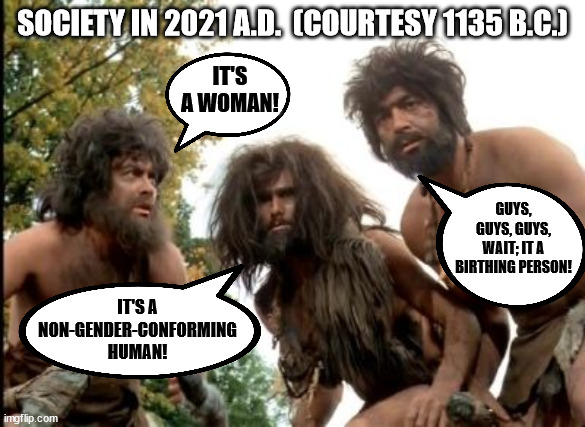 cavemen | SOCIETY IN 2021 A.D.  (COURTESY 1135 B.C.); IT'S A WOMAN! GUYS, GUYS, GUYS, WAIT; IT A BIRTHING PERSON! IT'S A NON-GENDER-CONFORMING HUMAN! | image tagged in cavemen | made w/ Imgflip meme maker