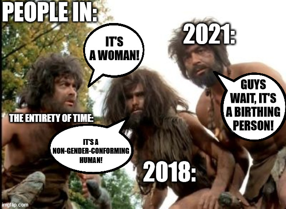 cavemen | PEOPLE IN:; 2021:; IT'S A WOMAN! GUYS WAIT, IT'S A BIRTHING PERSON! THE ENTIRETY OF TIME:; IT'S A NON-GENDER-CONFORMING HUMAN! 2018: | image tagged in cavemen | made w/ Imgflip meme maker