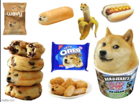 so much doge | image tagged in doge,doge bread,happy doge,wow doge | made w/ Imgflip meme maker