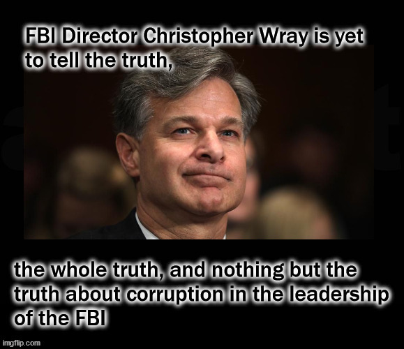 FBI still covering for rotten apples | image tagged in politics | made w/ Imgflip meme maker