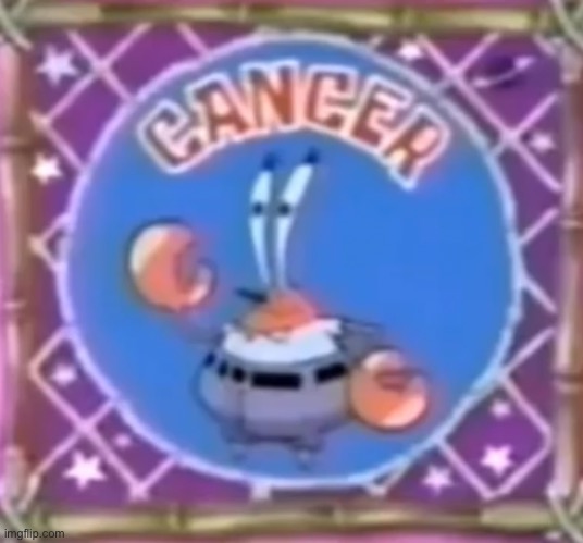 seems legit | image tagged in memes,spongebob | made w/ Imgflip meme maker