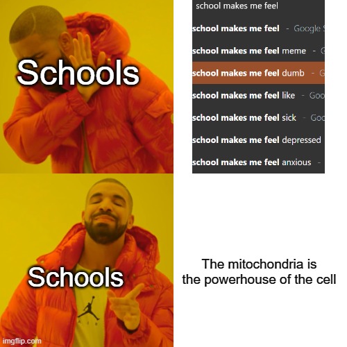 Drake Hotline Bling Meme | Schools; The mitochondria is the powerhouse of the cell; Schools | image tagged in memes,drake hotline bling | made w/ Imgflip meme maker