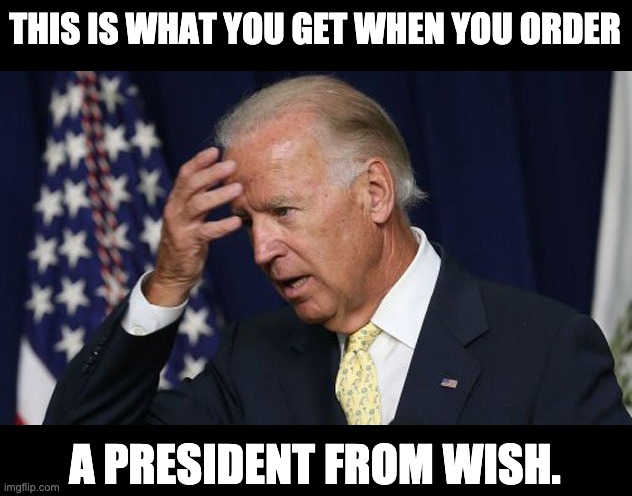 Wish | THIS IS WHAT YOU GET WHEN YOU ORDER; A PRESIDENT FROM WISH. | image tagged in joe biden worries | made w/ Imgflip meme maker