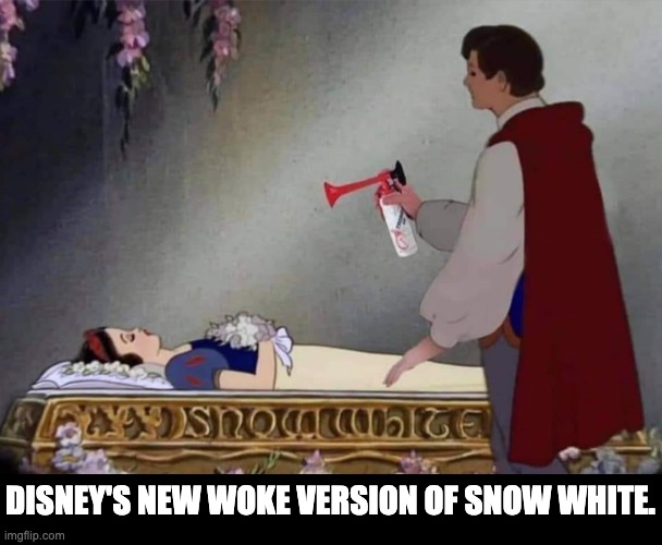 Snow white | DISNEY'S NEW WOKE VERSION OF SNOW WHITE. | image tagged in woke | made w/ Imgflip meme maker