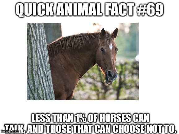 Animal fact #69 |  QUICK ANIMAL FACT #69; LESS THAN 1% OF HORSES CAN TALK, AND THOSE THAT CAN CHOOSE NOT TO. | image tagged in animals | made w/ Imgflip meme maker