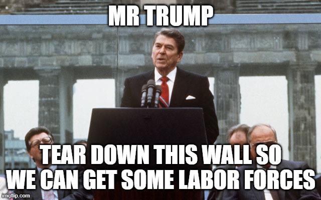 the only use of internation people for america | MR TRUMP; TEAR DOWN THIS WALL SO WE CAN GET SOME LABOR FORCES | image tagged in ronald reagan wall | made w/ Imgflip meme maker