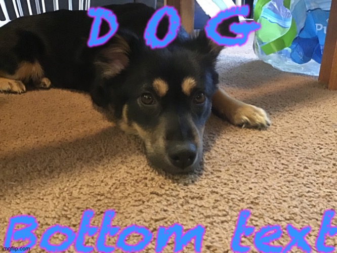 D O G | D O G; Bottom text | made w/ Imgflip meme maker