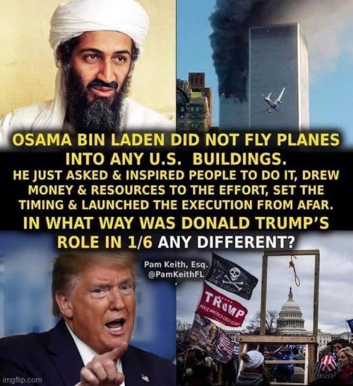 ummm, well the difference was 1/6 was an antifa false flag operation to make Trump patriots look bad, maga | image tagged in osama bin laden vs trump,repost,osama bin laden,osama,capitol hill,riot | made w/ Imgflip meme maker