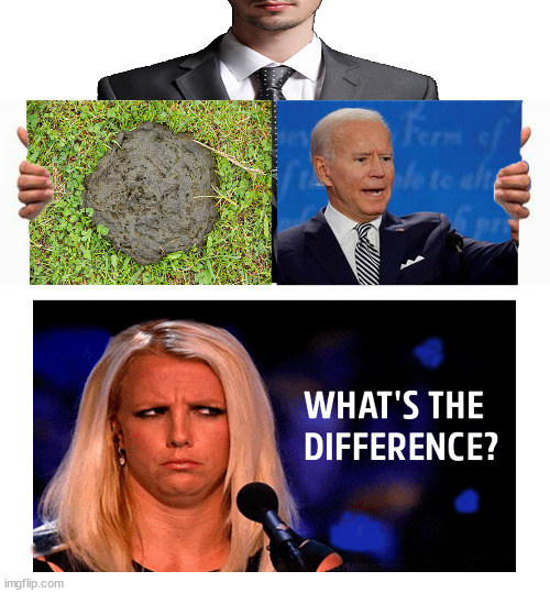 No difference | image tagged in joe biden,butthurt liberals | made w/ Imgflip meme maker