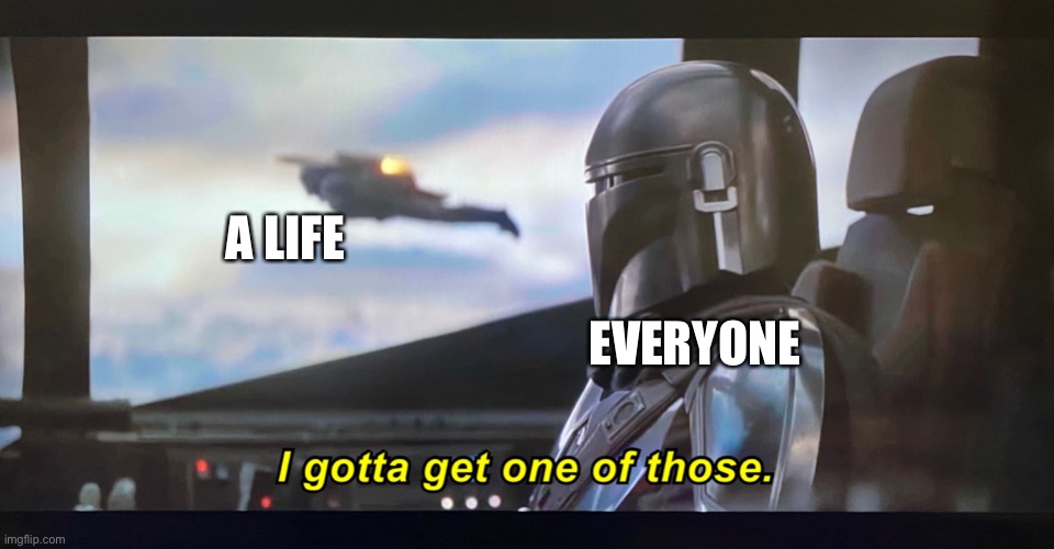 A life | EVERYONE; A LIFE | image tagged in i gotta get one of those,life,mandalorian | made w/ Imgflip meme maker