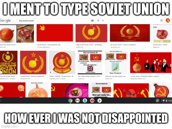 lol wut | I MENT TO TYPE SOVIET UNION; HOW EVER I WAS NOT DISAPPOINTED | image tagged in wut | made w/ Imgflip meme maker