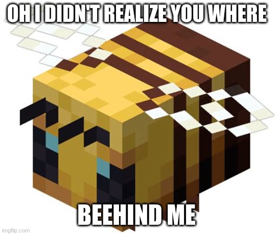 Minecraft bee | OH I DIDN'T REALIZE YOU WHERE; BEEHIND ME | image tagged in minecraft bee | made w/ Imgflip meme maker