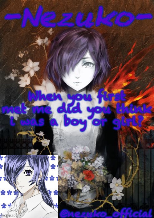 ITS TREND TIME!!!!! | When you first met me did you think i was a boy or girl? | image tagged in nezuko s touka template | made w/ Imgflip meme maker