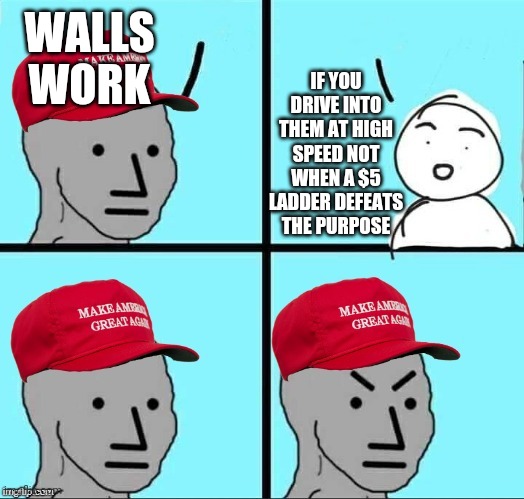 MAGA NPC (AN AN0NYM0US TEMPLATE) | IF YOU DRIVE INTO THEM AT HIGH SPEED NOT WHEN A $5 LADDER DEFEATS THE PURPOSE; WALLS WORK | image tagged in maga npc an an0nym0us template | made w/ Imgflip meme maker