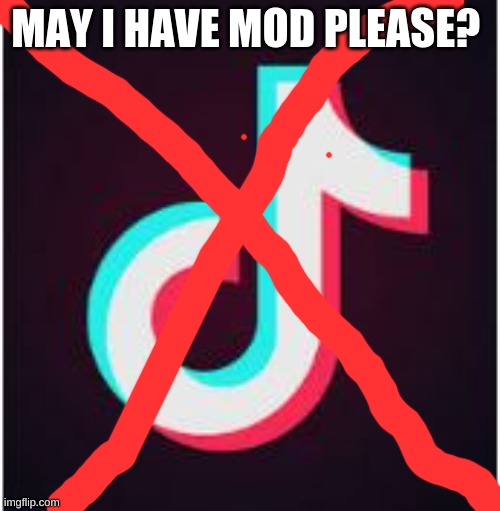 ........ | MAY I HAVE MOD PLEASE? | image tagged in tik tok | made w/ Imgflip meme maker