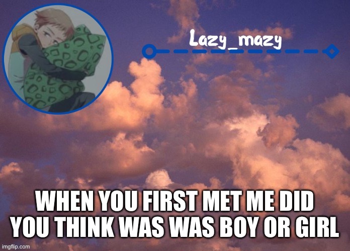 Lazy mazy | WHEN YOU FIRST MET ME DID YOU THINK WAS WAS BOY OR GIRL | image tagged in lazy mazy | made w/ Imgflip meme maker