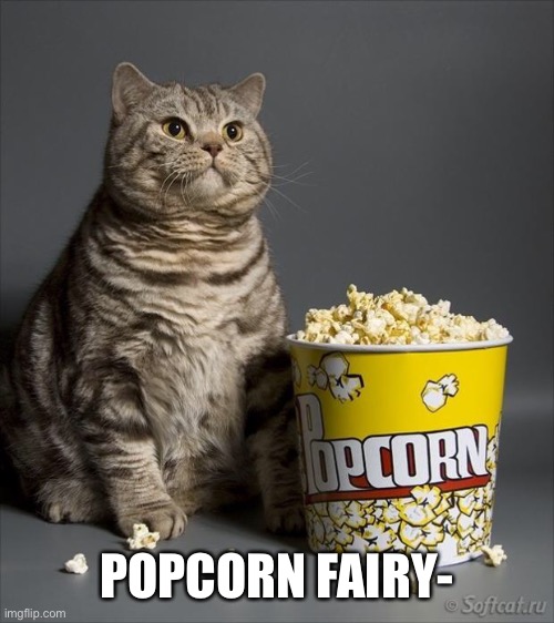 Cat eating popcorn | POPCORN FAIRY- | image tagged in cat eating popcorn | made w/ Imgflip meme maker