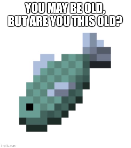 YOU MAY BE OLD, BUT ARE YOU THIS OLD? | image tagged in minecraft | made w/ Imgflip meme maker